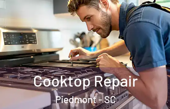  Cooktop Repair Piedmont - SC