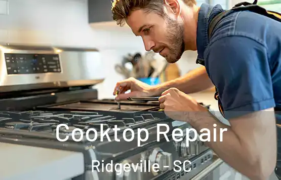 Cooktop Repair Ridgeville - SC