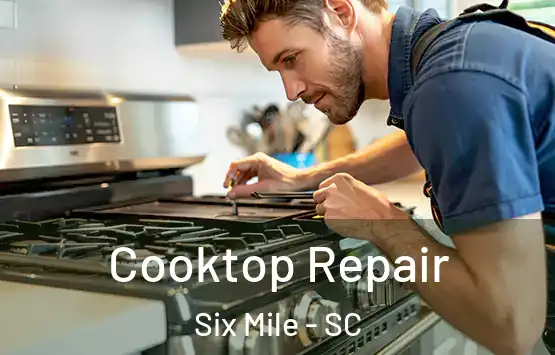  Cooktop Repair Six Mile - SC