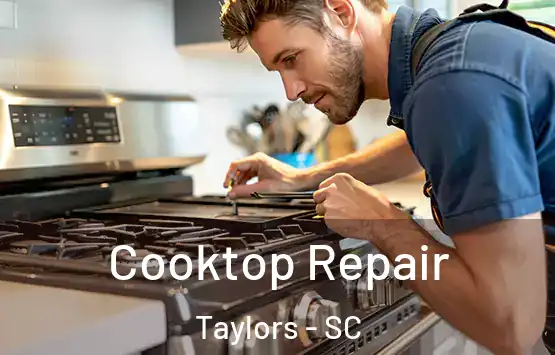  Cooktop Repair Taylors - SC
