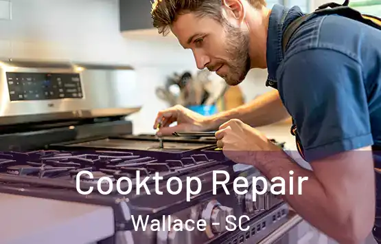  Cooktop Repair Wallace - SC