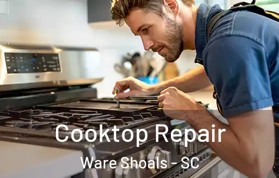  Cooktop Repair Ware Shoals - SC