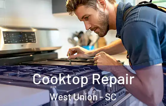  Cooktop Repair West Union - SC