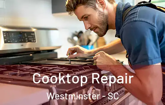  Cooktop Repair Westminster - SC