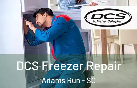  DCS Freezer Repair Adams Run - SC