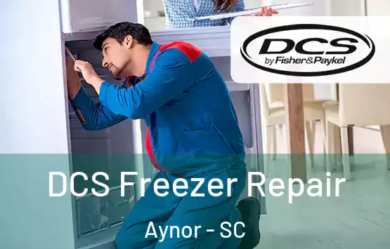  DCS Freezer Repair Aynor - SC