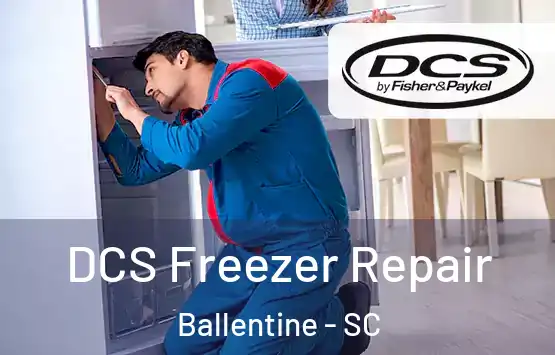  DCS Freezer Repair Ballentine - SC