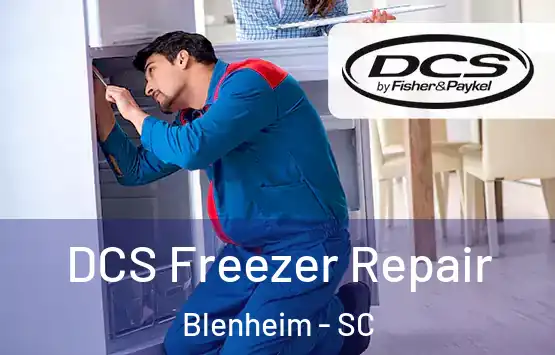  DCS Freezer Repair Blenheim - SC