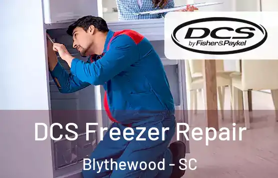  DCS Freezer Repair Blythewood - SC