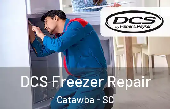  DCS Freezer Repair Catawba - SC