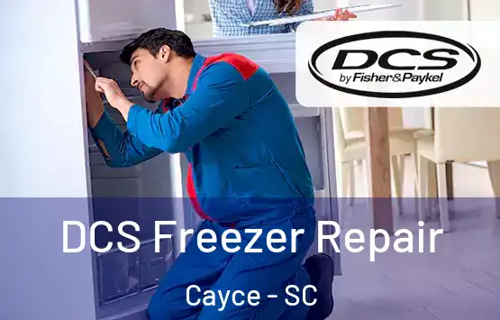  DCS Freezer Repair Cayce - SC