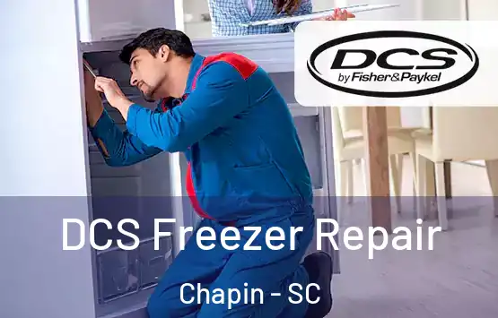  DCS Freezer Repair Chapin - SC