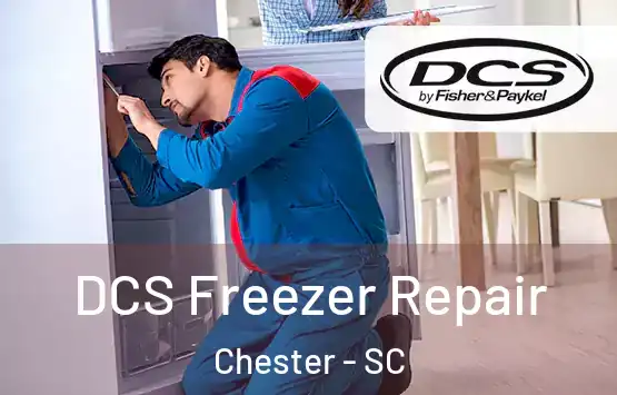  DCS Freezer Repair Chester - SC