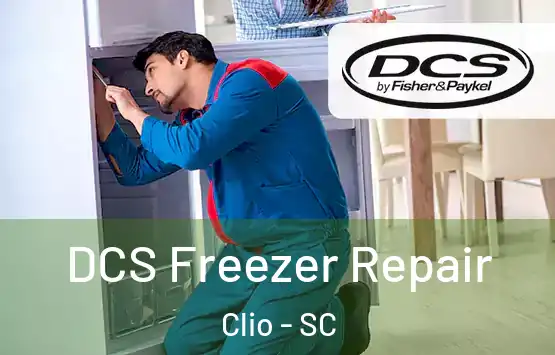  DCS Freezer Repair Clio - SC