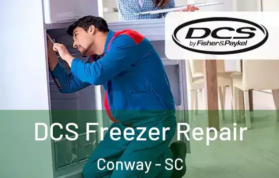  DCS Freezer Repair Conway - SC