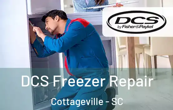  DCS Freezer Repair Cottageville - SC