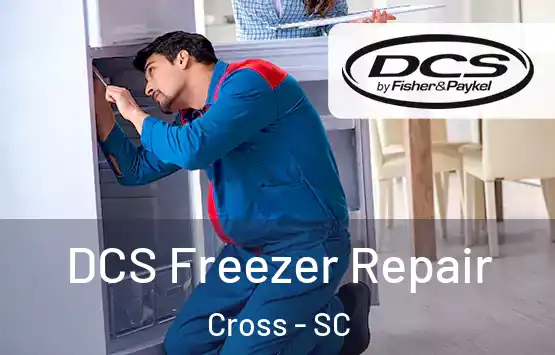  DCS Freezer Repair Cross - SC