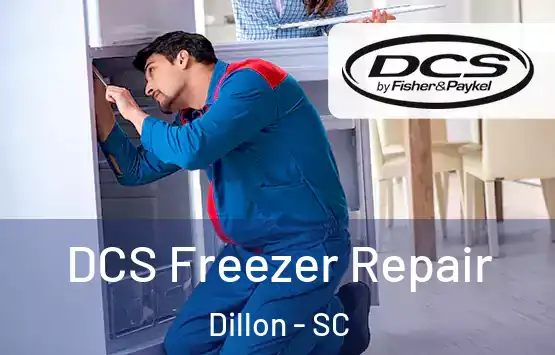  DCS Freezer Repair Dillon - SC