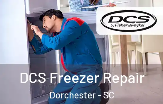  DCS Freezer Repair Dorchester - SC