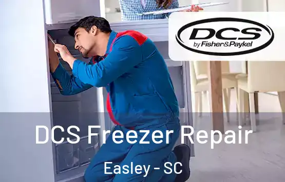  DCS Freezer Repair Easley - SC