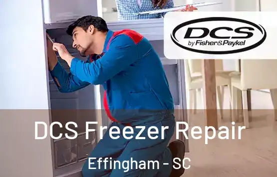  DCS Freezer Repair Effingham - SC