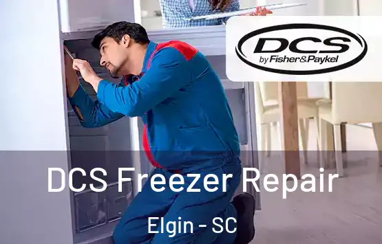  DCS Freezer Repair Elgin - SC