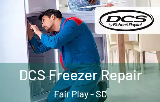  DCS Freezer Repair Fair Play - SC