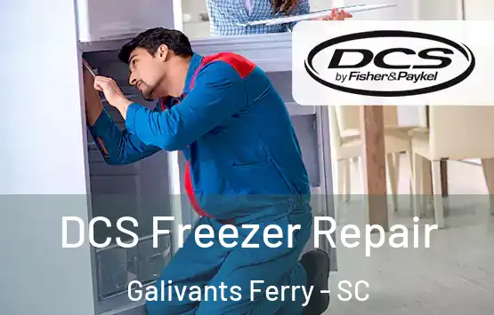  DCS Freezer Repair Galivants Ferry - SC