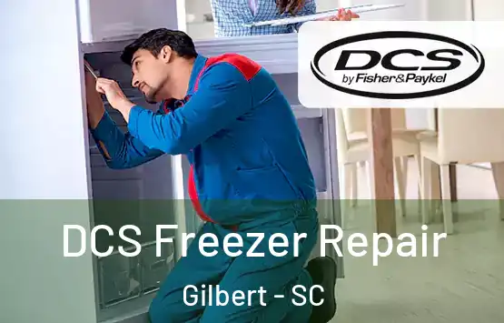  DCS Freezer Repair Gilbert - SC
