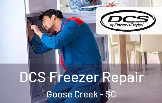  DCS Freezer Repair Goose Creek - SC