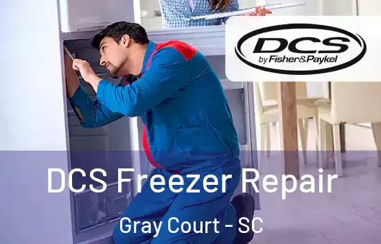  DCS Freezer Repair Gray Court - SC
