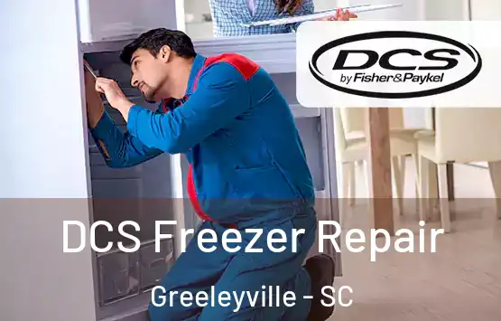  DCS Freezer Repair Greeleyville - SC