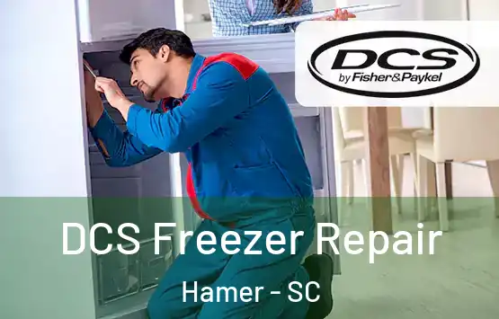  DCS Freezer Repair Hamer - SC