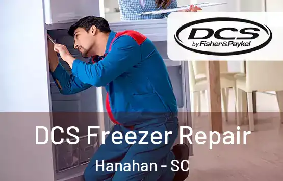  DCS Freezer Repair Hanahan - SC