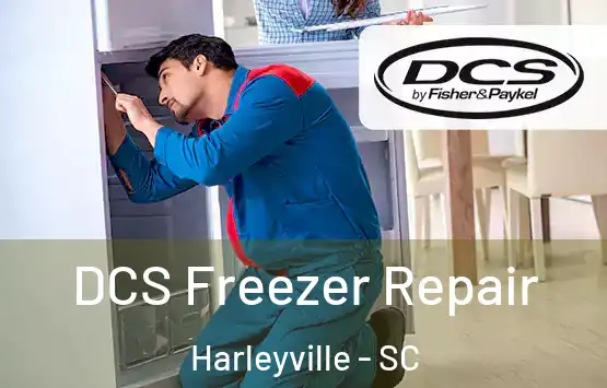  DCS Freezer Repair Harleyville - SC