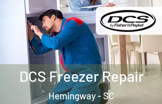  DCS Freezer Repair Hemingway - SC