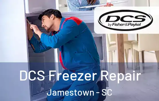  DCS Freezer Repair Jamestown - SC