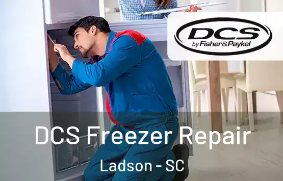  DCS Freezer Repair Ladson - SC