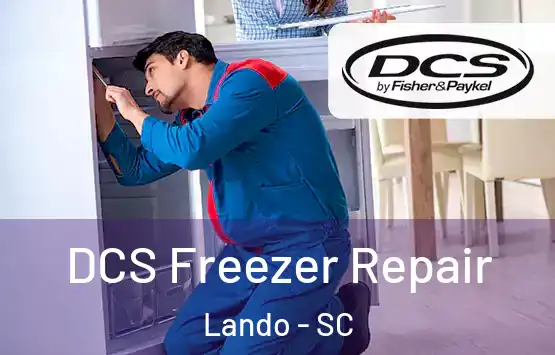  DCS Freezer Repair Lando - SC