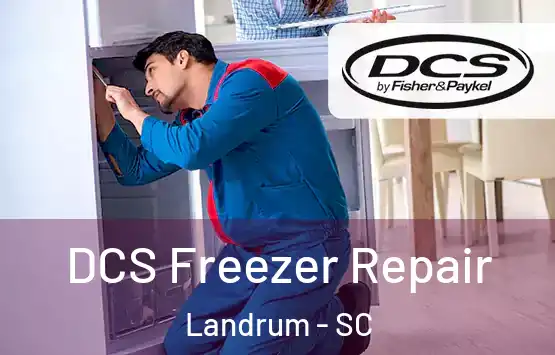  DCS Freezer Repair Landrum - SC