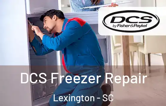  DCS Freezer Repair Lexington - SC