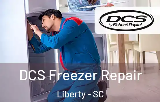  DCS Freezer Repair Liberty - SC