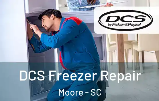  DCS Freezer Repair Moore - SC