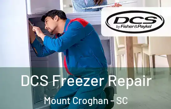  DCS Freezer Repair Mount Croghan - SC