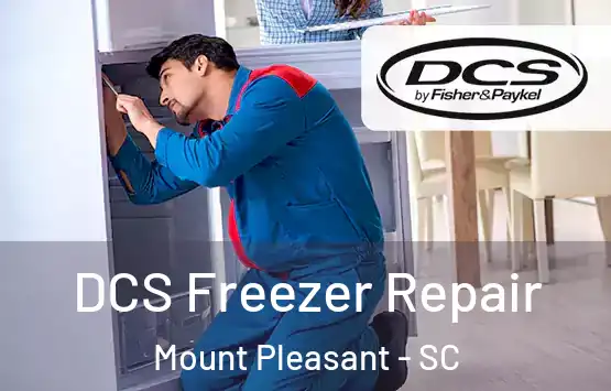  DCS Freezer Repair Mount Pleasant - SC