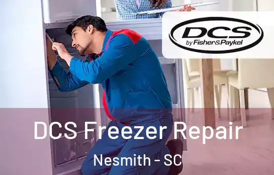  DCS Freezer Repair Nesmith - SC