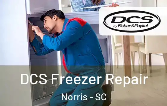  DCS Freezer Repair Norris - SC