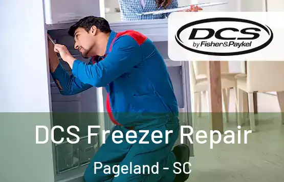  DCS Freezer Repair Pageland - SC