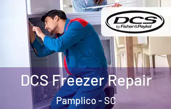  DCS Freezer Repair Pamplico - SC