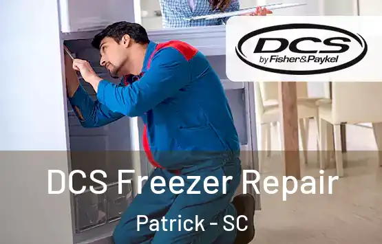 DCS Freezer Repair Patrick - SC